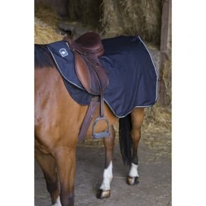 Riding World Couvre-reins imperméable doublé polaire pour cheval