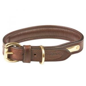 Weatherbeeta Collier pour chien en cuir rembourré