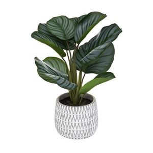 Image de ATMOSP RA CREATEUR D'INTERIEUR Plante Artificielle Maranta en Pot H 45 cm ATM 185462 Vert