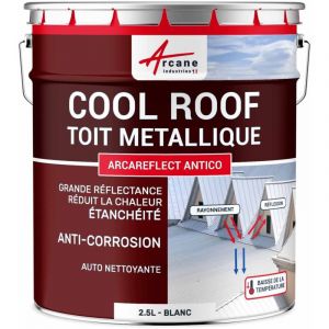 Arcane industries Coolroof toiture m&eacute;tallique &eacute;tanche anticorrosion - 2.5 l Blanc
