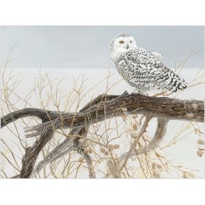 Cobble hill Pièces XXL - Fallen Willow Snowy Owl