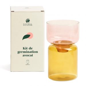 Nature & D&eacute;couvertes Kit vase de germination sp&eacute;cial noyau d'avocat en verre transparent