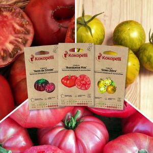 Sachet de graines bio &agrave; semer -Tomates color&eacute;es - 3 sachets de graines bio &agrave; semer