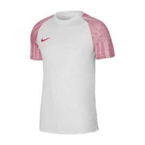 Nike Maillot Dri-FIT Academy