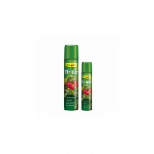 Image de Flower 40501 – Spray Brillance pour Plante Naturelle hypoallergénique