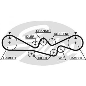 Gates Courroie de distribution 5537XS
