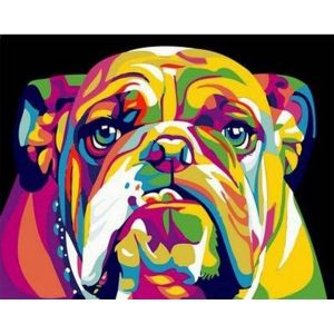 Peinture au num&eacute;ro : Bulldog Pop Art - toile tendue sur ch&acirc;ssis
