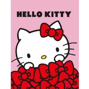 Aymax Plaid 130x160 cm Hello Kitty Rose