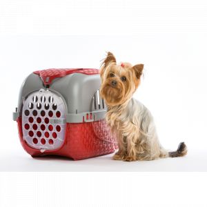 Bama Panier de transport pour animaux en plastique - Bordeaux - L 59 x P 38 x H 37 cm