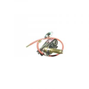 Polti Thermostat de pour fer a repasser 3662734211212