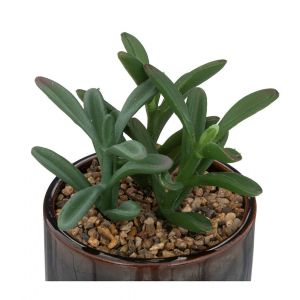 Plante Artificielle en Pot Déco "Bota" 14cm Noir Prix