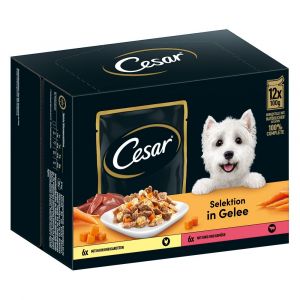 César 12x 100g Selektion Fleisch und Gemüse in Gelee Hundefutter nass
