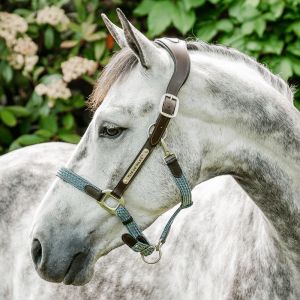 Licol cuir pour cheval Horseware Signature