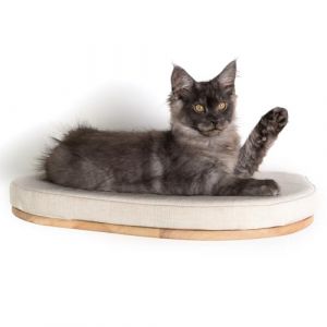 Arbre À Chat - Rhrquality Mur D'escalade Chats - Canapé De Luxe Xxl (Beige)
