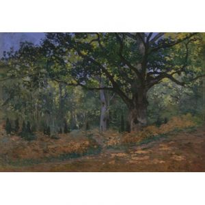 Grafika Claude Monet Fontainebleau, 1865 - Puzzle 12 pièces XXL