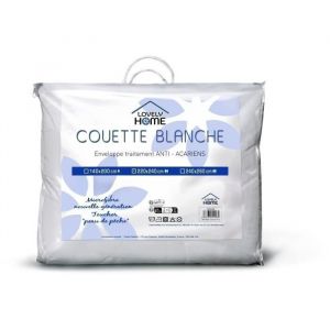 Lovely Home Couette 240 x 260 cm - Chaude - 450 g/m² - Anti-acariens - 2 personnes - Blanc
