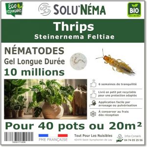 SOLUNEMA - Nématodes SF - Thrips - 10 millions pour environ 20m²