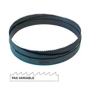 Hepyc Lame de scie &agrave; ruban m&eacute;tal PAE 2980 x 20 x 0,9 mm x 6/10 TPI pas variable - Bi-m&eacute;tal M42 - 73070702980