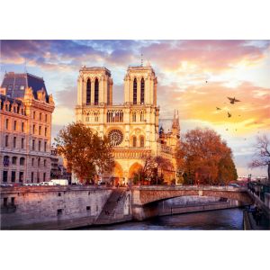 Notre Dame Paris, France
