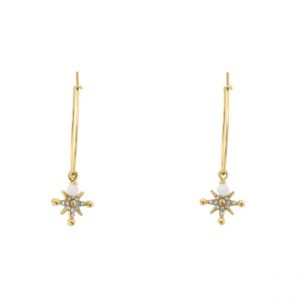 Pierre Lannier Boucles oreilles Bijoux Australe - BJ22A2211 Acier Doré