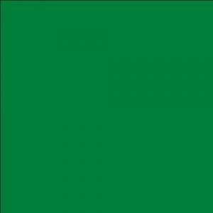 Image de Vert Electrique-Peinture naturelle &eacute;cologique int&eacute;rieur ext&eacute;rieur aspect velours Natura - 1L