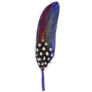 Stetson Plume by