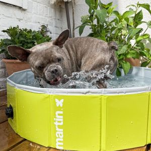 Martin Sellier Piscine pour chien Pool
