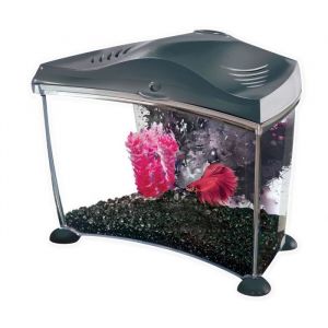 Image de Marina Kit aquarium Graphite pour betta - 6,7 L