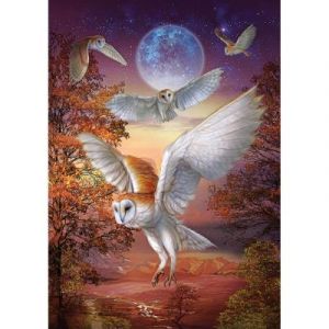 Art Puzzle Hiboux au Clair de Lune