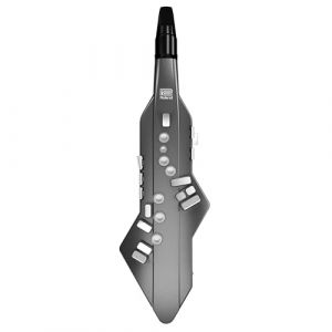 Roland Instrument à vent numérique Aerophone GO AE-05, avec appli gratuite Aerophone GO Plus et étui de transport, Acrylonitrile butadiène styrène, noir