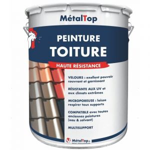 Peinture Toiture - Gris graphite - RAL 7024 - Pot 15L