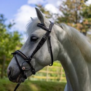 Bridons équitation pour cheval Canter Mylord