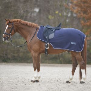 Waldhausen Couvre-reins pour cheval imperm&eacute;able Economic