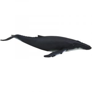 Science4you Baleine (387119.0)