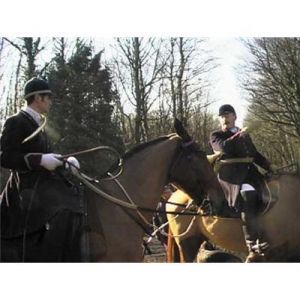 Image de Vid&eacute;o Chasse : Venerie du cerf