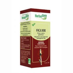 Image de Herbalgem Figuier Bio - 50 ml