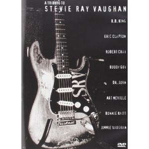 Image de Tribute To Stevie Ray Vaughan