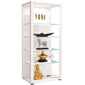 Vcm Bois Verre Vitrine De Collection Vitrine De Verre Vitrine De Stand Vitrine Glasol Lll