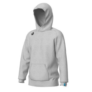Arena Sweatshirt à capuche Team Panel