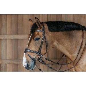 Dyon Bride &eacute;quitation Dy'on Working Motion