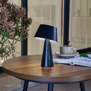 Led Lampe Solaire à intensité variable 'Lirinor' - noir