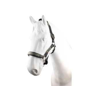 Licol pour cheval en cuir B Vertigo Lennox