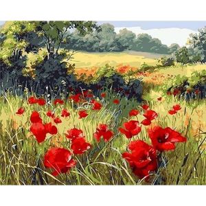 Figured'Art Peinture par Num&eacute;ro Adulte avec Cadre Coquelicots champ&ecirc;tres - Activit&eacute; Manuelle Kit de Loisir Cr&eacute;atif DIY Num&eacute;ro d'Art Complet - 40x50cm toile tendue sur ch&acirc;ssis