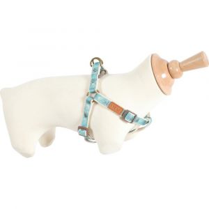 Zolux Harnais reglable imao taiga 15mm ble pour chien