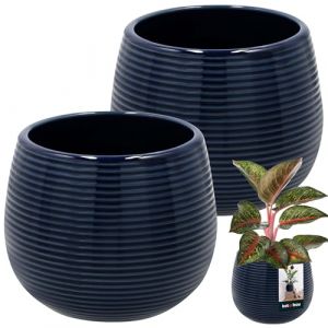 KOTARBAU Lot de 2 pots de fleurs ronds en céramique - Bleu cobalt - Diamètre : 12 cm - Hauteur : 14 cm - En céramique émaillée