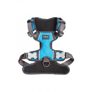 RedDingo Harnais rembourr&eacute; Turquoise Taille : T5