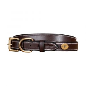 Image de Collier pour chien cuir plat Dy&rsquo;on