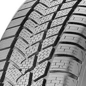Sunny 205/55 R17 95V NW211 Wintermax XL