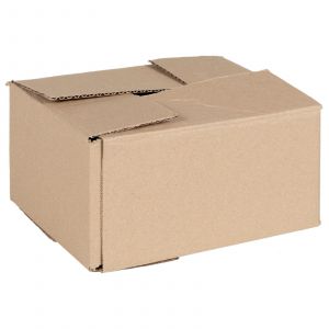 VidaXL Boîte Pliable 50 Pcs 20x15x10 Cm Carton