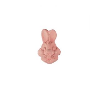 Image de Flamingo Pierre a picorer lapin 80g